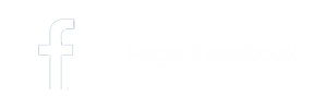 Page Facebook